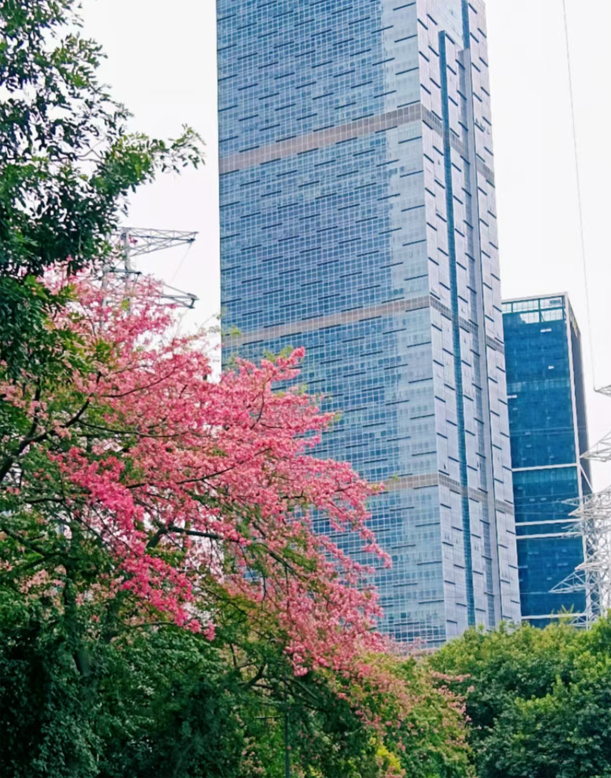 圖片關鍵詞 圖片關鍵詞